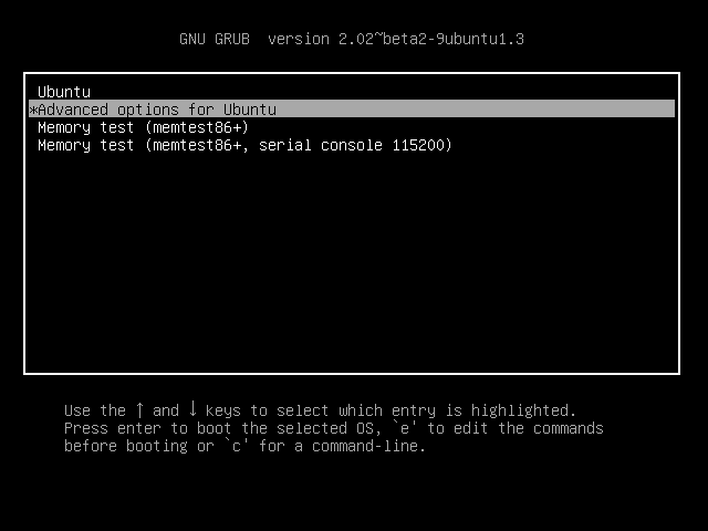 Advanced options for Ubuntu